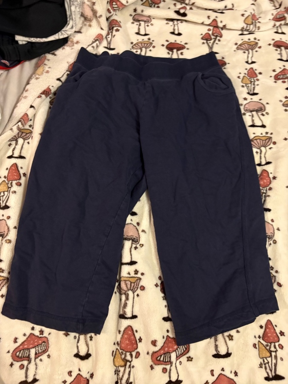 Kim Rogers Navy Blue Sweat Shorts Size Petite Large
